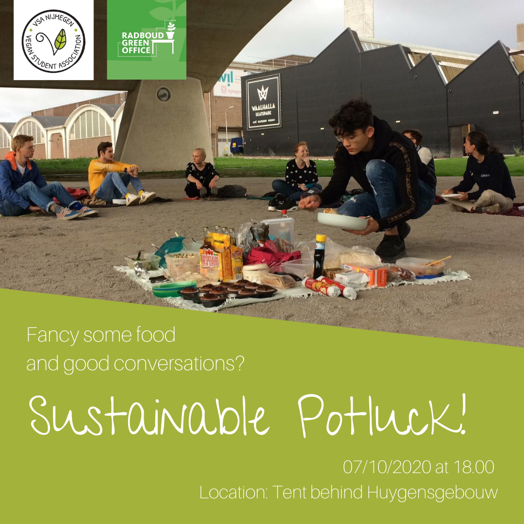 fancy some food and good conversations. join our sustainable potluck!